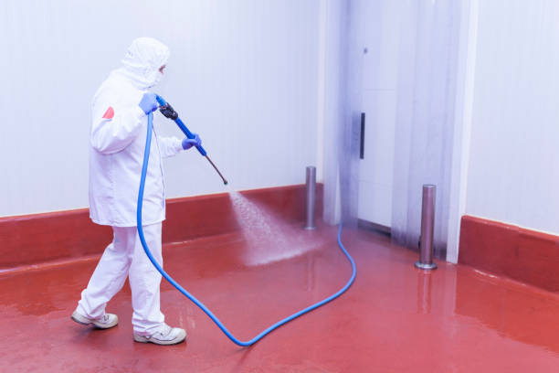 Best Spring Cleaning  in Four Corners, TX